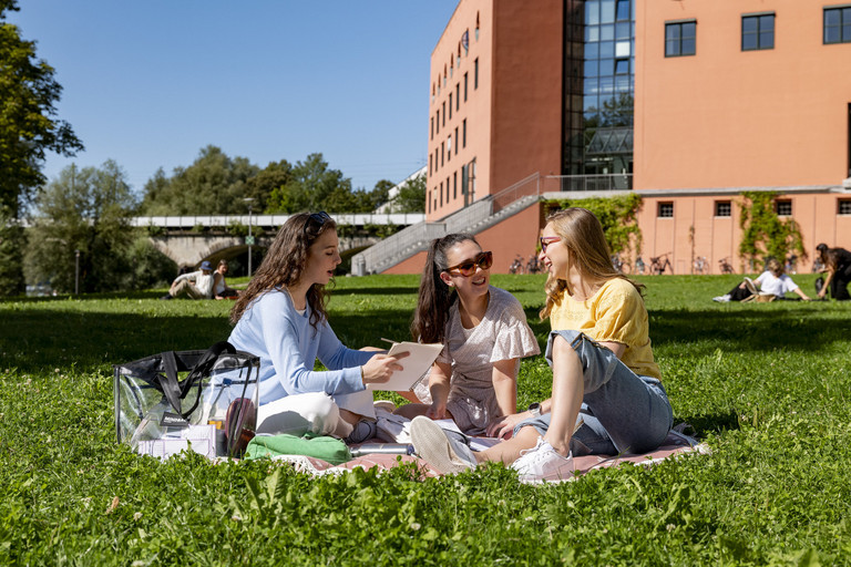 Webinar berblick ber das Studienangebot