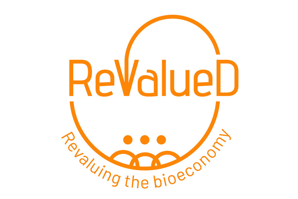 Logo ReValueD