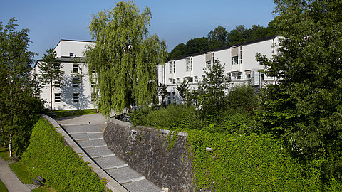 Path leading to the Business Administration and Economics building 