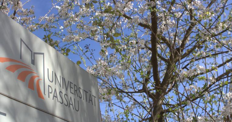 Der Campus blüht im Frühling