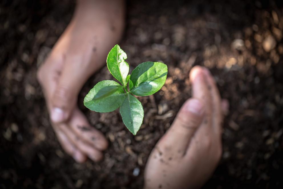 Veranstaltung „Klimaschutz global denken“ an der Universität Passau