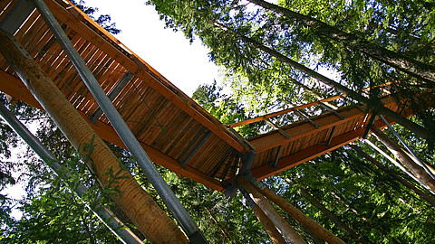 Neuschönau Treetop Path, Source: Tourismusverband Ostbayern e.V.