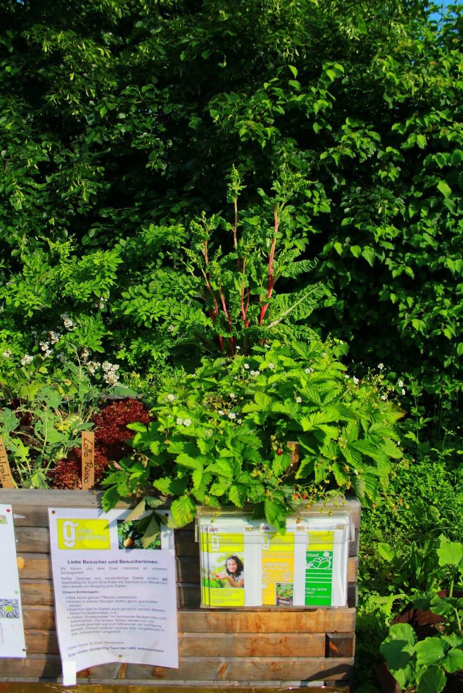 Im Sommer strahlt der Garten in Hülle und Fülle