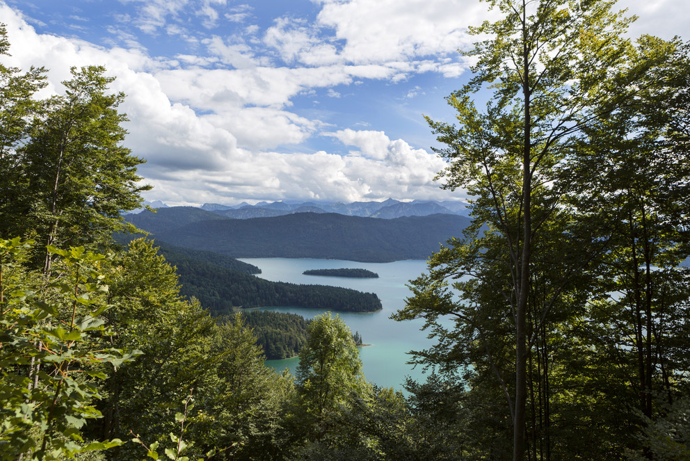 Landschaft mit Wald, Bergen, See