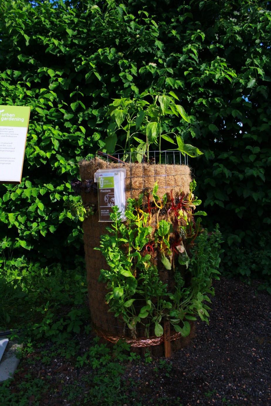 Vertical plant tower; encased in a coconut fibre mat