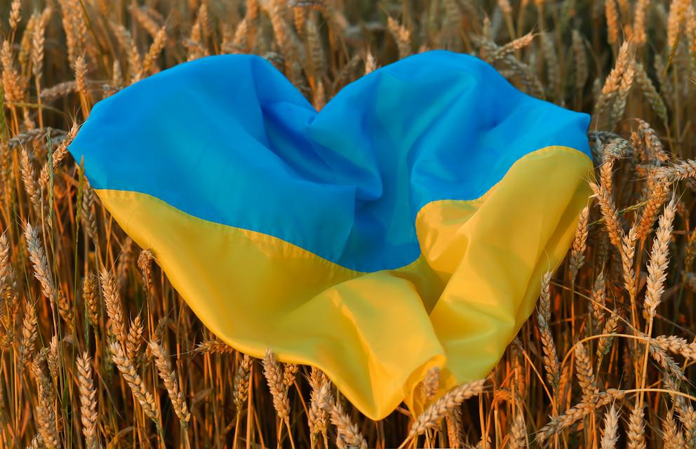 [Translate to Englisch:] Ukraineflagge