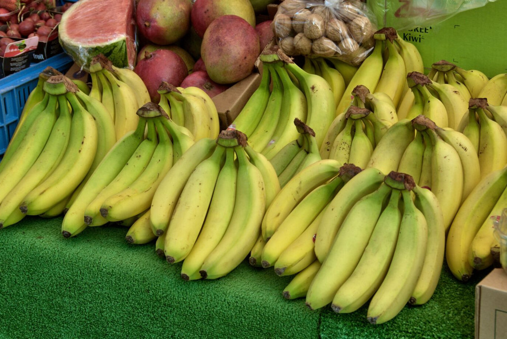 Foto von nachhaltig produzierten Produkten wie Bananen, Kiwis, Melonen