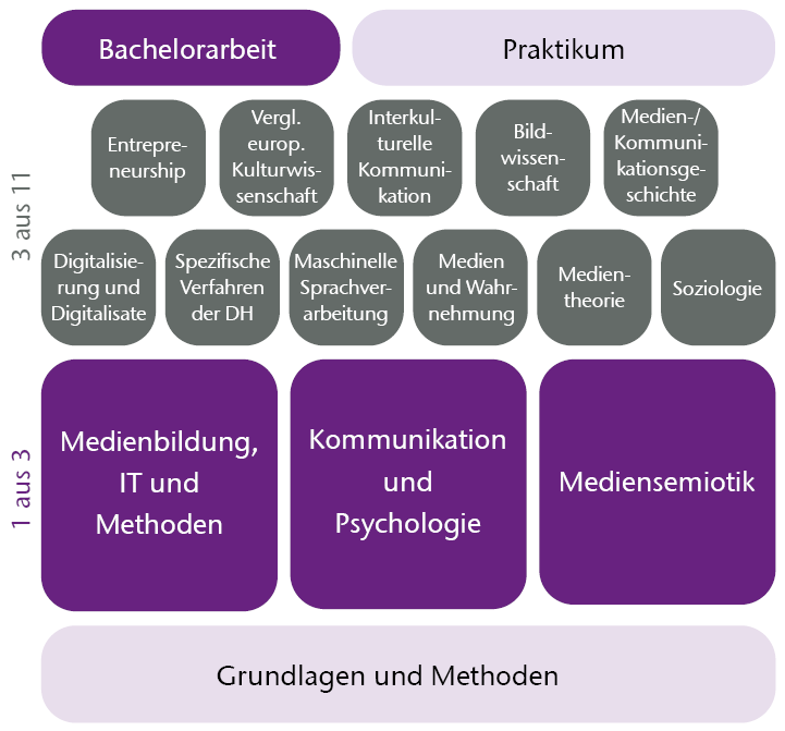 Studienaufbau - Modulbereiche, Praktikum und Bachelorarbeit